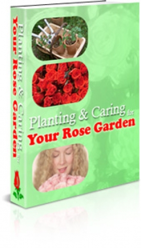 Planning Caring Your Rose Garden