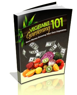 Vegetable Gardening 101